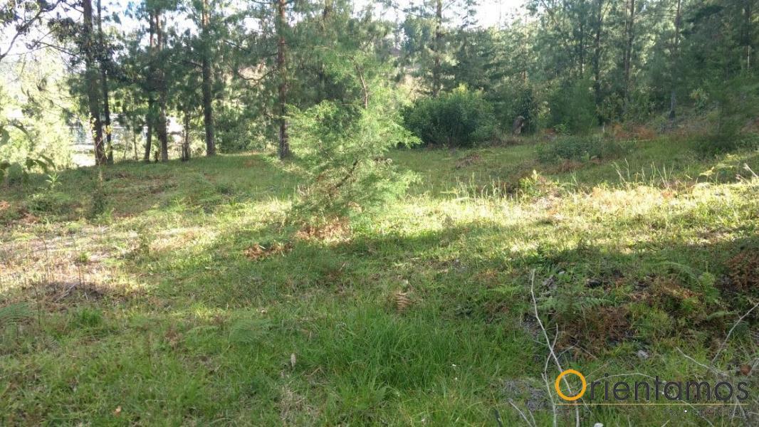 Terreno disponible para la venta en El Retiro el codigo es 14711