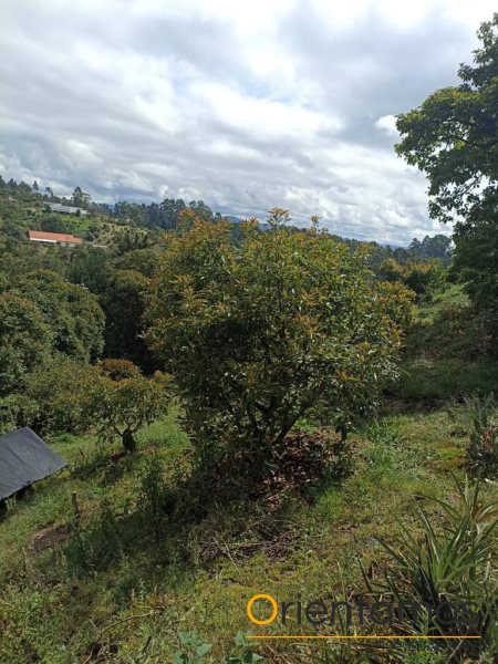 Casa para la venta en Rionegro - Llanogrande el codigo es 19236 foto numero 23