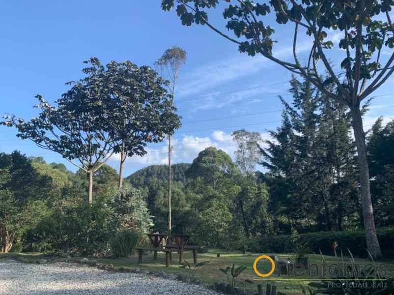Finca disponible para la venta en El Retiro el codigo es 16520 foto numero 30